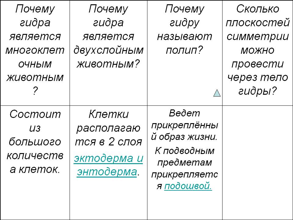 Кракен как зайти через тор браузер