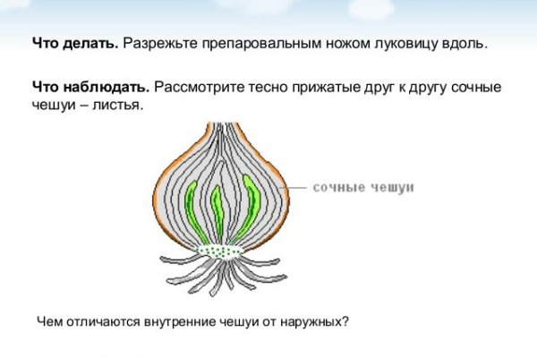 Кракен сайт бошки